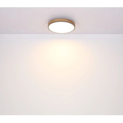 Globo - Светодиодный потолочный светильник с регулированием яркости LED/40W/230V 2700-6500K диаметр 60 cm + дистанционное управление коричневая/серая