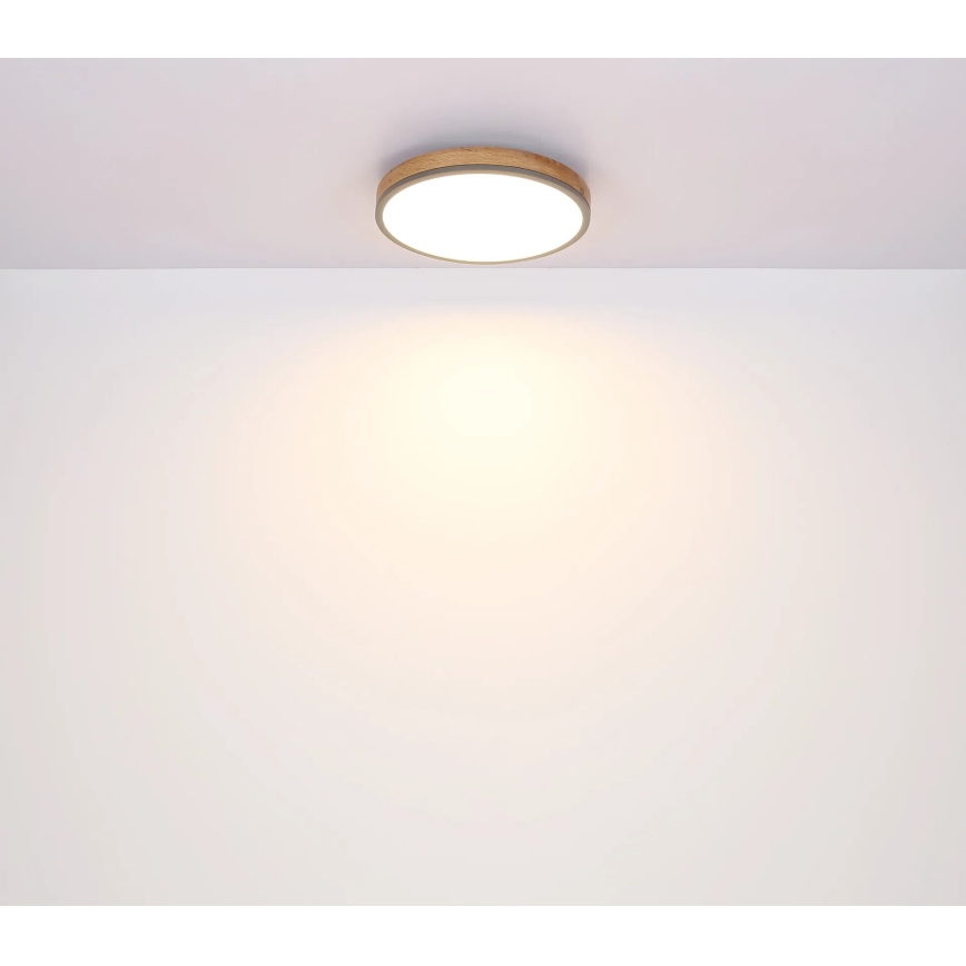 Globo - Светодиодный потолочный светильник с регулированием яркости LED/40W/230V 2700-6500K диаметр 60 cm + дистанционное управление коричневая/серая
