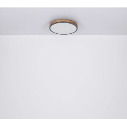 Globo - Светодиодный потолочный светильник с регулированием яркости LED/40W/230V 2700-6500K диаметр 60 cm + дистанционное управление коричневая/серая