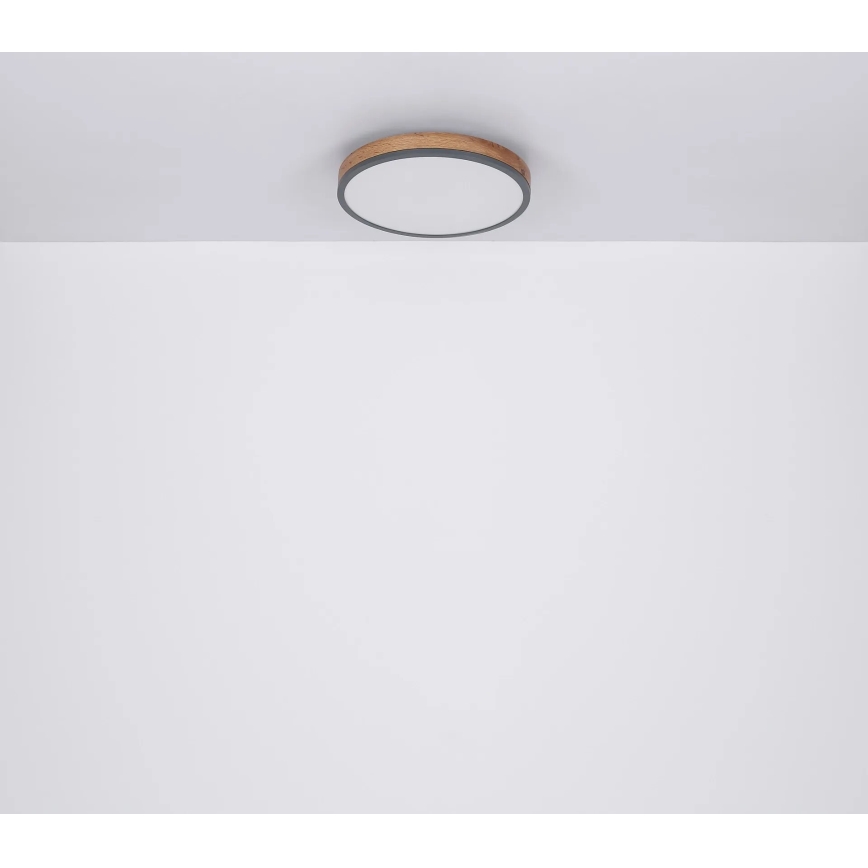 Globo - Светодиодный потолочный светильник с регулированием яркости LED/40W/230V 2700-6500K диаметр 60 cm + дистанционное управление коричневая/серая