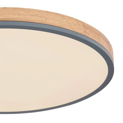 Globo - Светодиодный потолочный светильник с регулированием яркости LED/40W/230V 2700-6500K диаметр 60 cm + дистанционное управление коричневая/серая