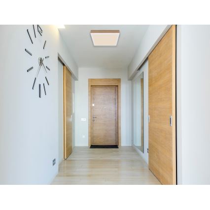 Globo - Стельовий LED світильник LED/12W/230V 30x30 см коричневий