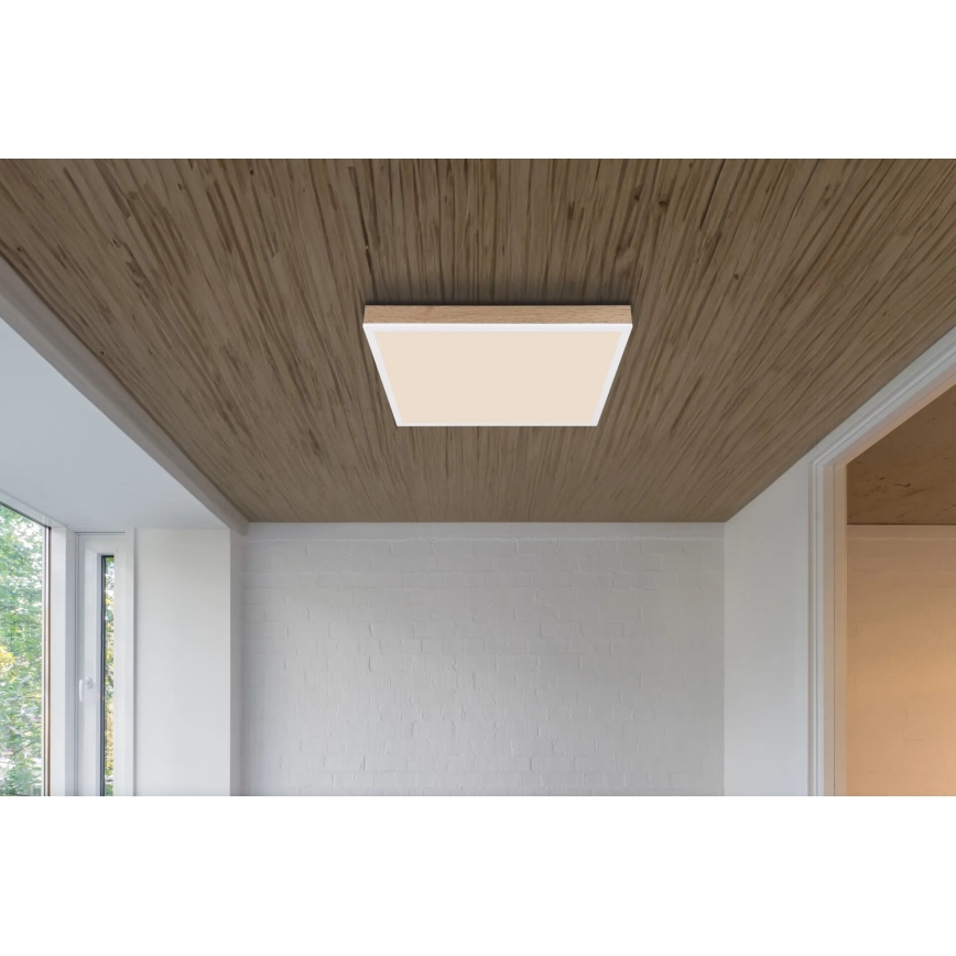 Globo - Светодиодный потолочный светильник с регулированием яркости LED/24W/230V 2700-6500K + дистанционное управление коричневый/белый