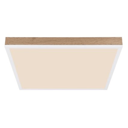 Globo - Светодиодный потолочный светильник с регулированием яркости LED/24W/230V 2700-6500K + дистанционное управление коричневый/белый