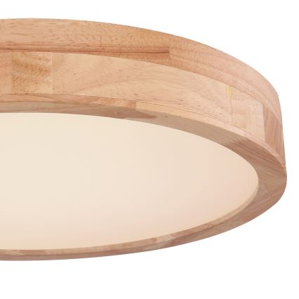 Globo - Светодиодный потолочный светильник с регулированием яркости LED/24W/230V + дистанционное управление