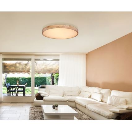 Globo - Светодиодный потолочный светильник с регулированием яркости LED/60W/230V 3000-6000K + дистанционное управление