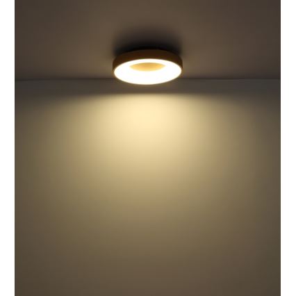 Globo - Светодиодный потолочный светильник с регулированием яркости LED/30W/230V + дистанционное управление