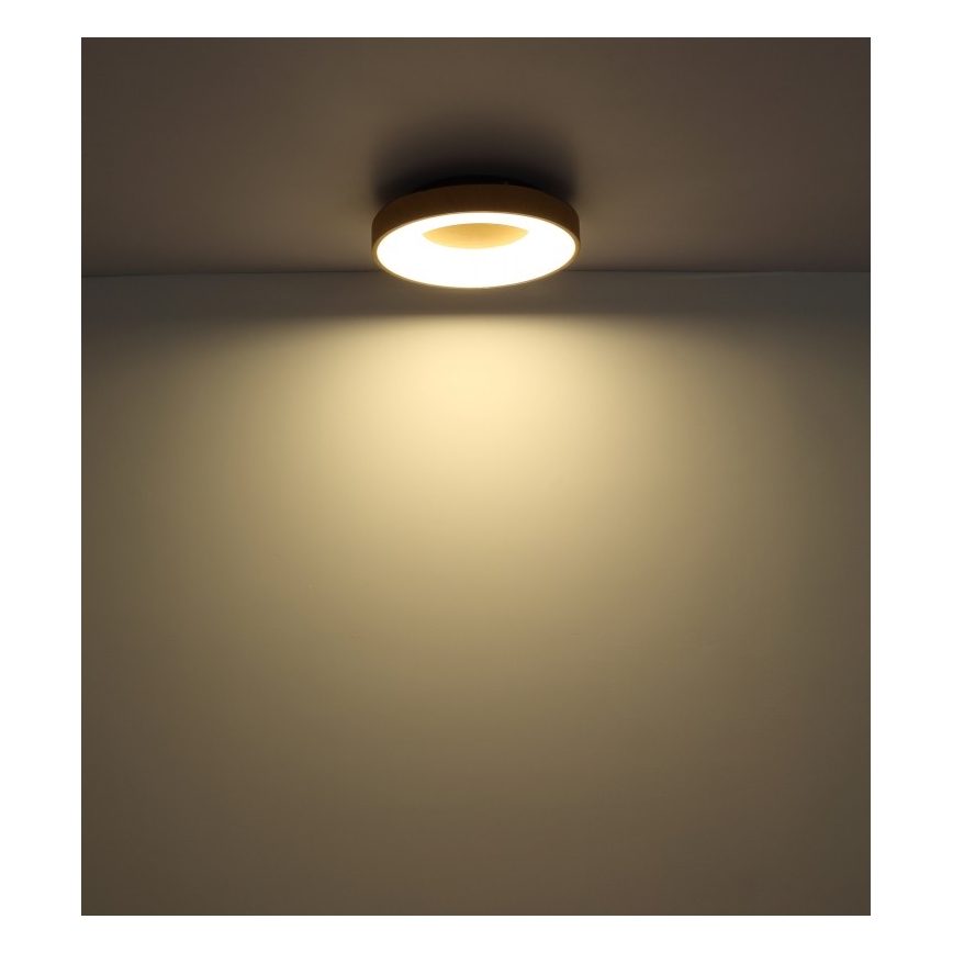 Globo - Светодиодный потолочный светильник с регулированием яркости LED/30W/230V + дистанционное управление