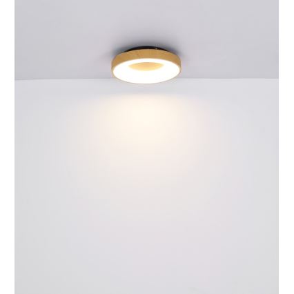 Globo - Светодиодный потолочный светильник с регулированием яркости LED/30W/230V + дистанционное управление
