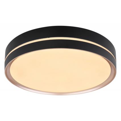Globo - Светодиодный потолочный светильник с регулированием яркости LED/24W/230V + дистанционное управление