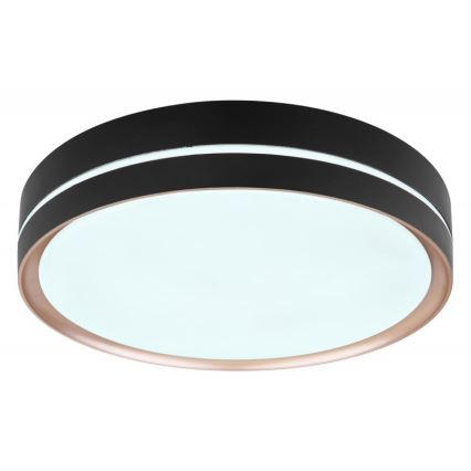 Globo - Светодиодный потолочный светильник с регулированием яркости LED/24W/230V + дистанционное управление