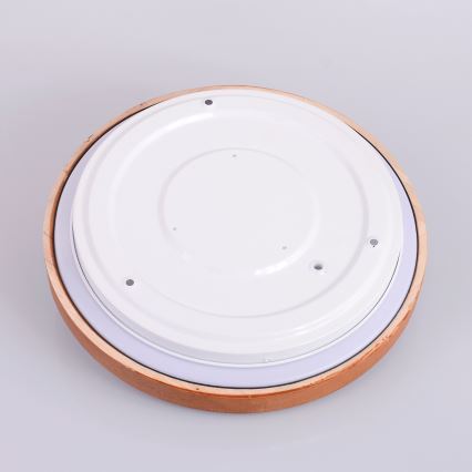 Globo - Стельовий LED світильник LED/12W/230V 307 мм 3000/4500/6000K