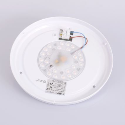 Globo - Стельовий LED світильник LED/12W/230V 307 мм 3000/4500/6000K