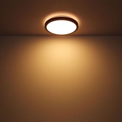 Globo - Стельовий LED світильник LED/12W/230V 307 мм 3000/4500/6000K