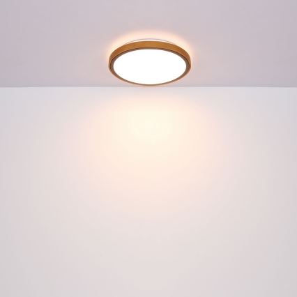 Globo - Стельовий LED світильник LED/12W/230V 307 мм 3000/4500/6000K
