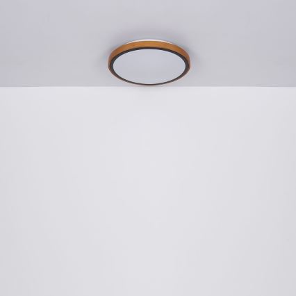 Globo - Стельовий LED світильник LED/12W/230V 307 мм 3000/4500/6000K