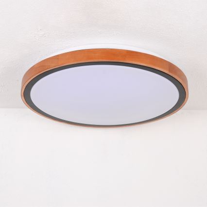 Globo - Стельовий LED світильник LED/24W/230V 3000/4500/6000K діаметр 43,7 см