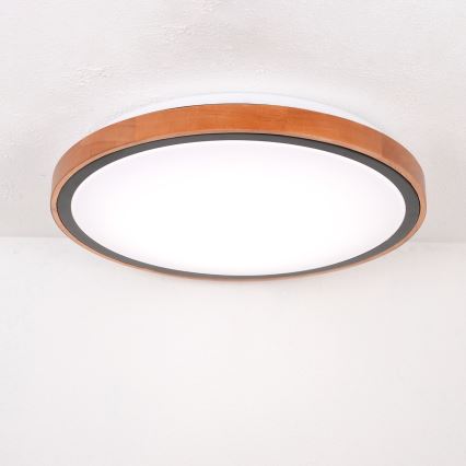 Globo - Светодиодный потолочный светильник LED/24W/230V 437 мм 3000/4500/6000K