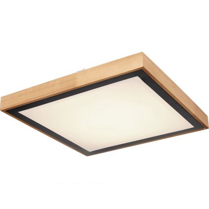 Globo - Стельовий LED світильник LED/24W/230V 3000/4500/6000K