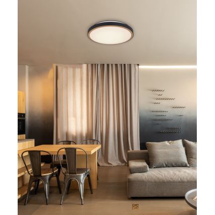 Globo - Стельовий LED світильник LED/24W/230V 3000/4500/6000K діаметр 42 см