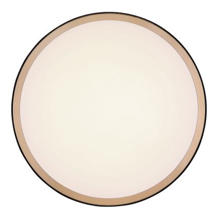 Globo - Стельовий LED світильник LED/24W/230V 3000/4500/6000K діаметр 42 см