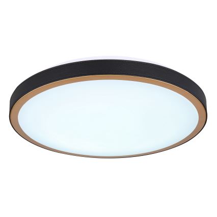 Globo - Стельовий LED світильник LED/24W/230V 3000/4500/6000K діаметр 42 см