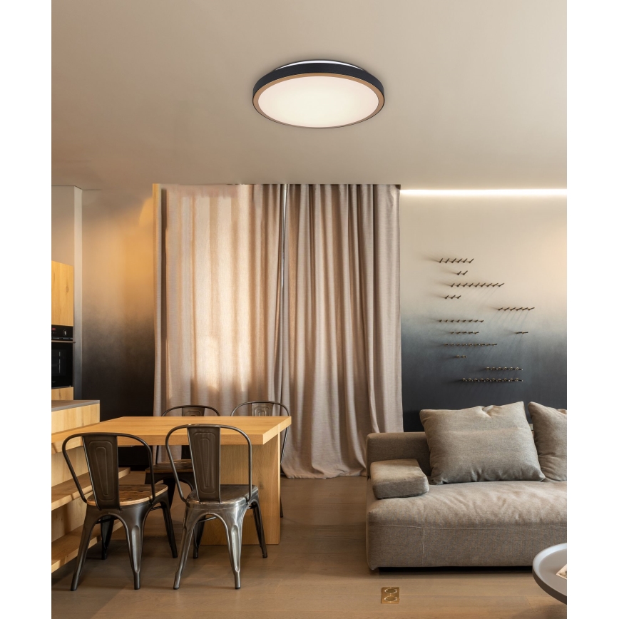 Globo - Светодиодный потолочный светильник LED/24W/230V 3000/4500/6000K диаметр 42 см