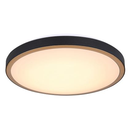 Globo - Светодиодный потолочный светильник LED/24W/230V 3000/4500/6000K диаметр 42 см