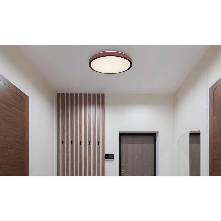 Globo - Стельовий LED світильник LED/24W/230V 3000/4500/6000K діаметр 42 см