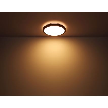 Globo - Стельовий LED світильник LED/24W/230V 3000/4500/6000K діаметр 42 см