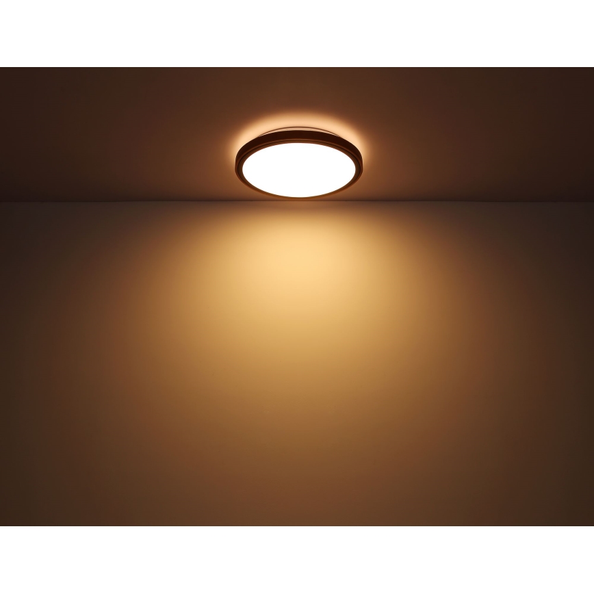 Globo - Стельовий LED світильник LED/24W/230V 3000/4500/6000K діаметр 42 см