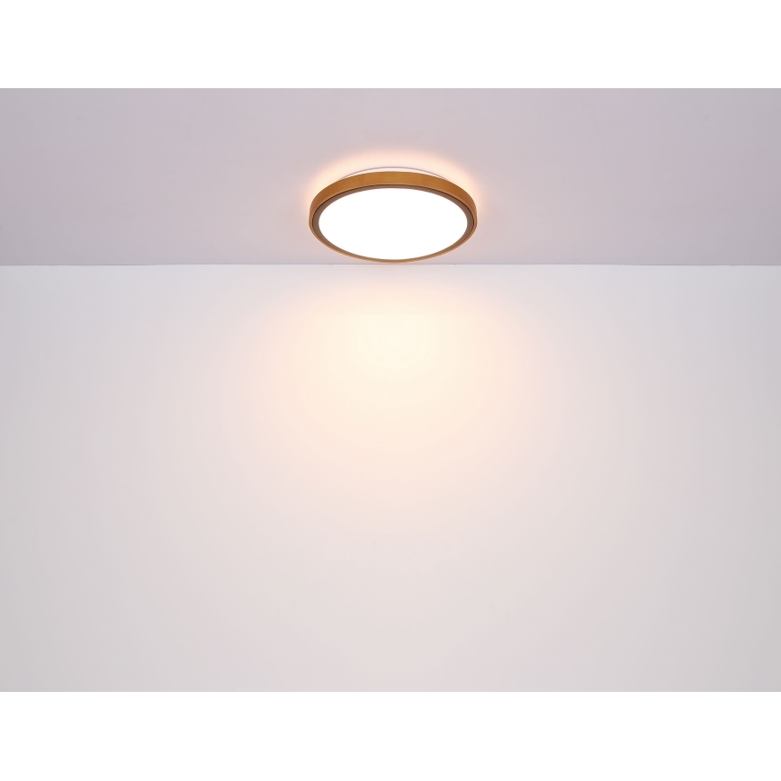 Globo - Стельовий LED світильник LED/24W/230V 3000/4500/6000K діаметр 42 см