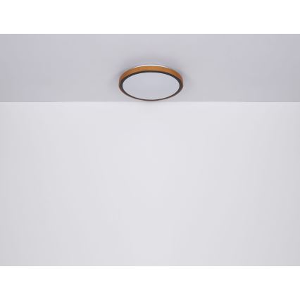 Globo - Стельовий LED світильник LED/24W/230V 3000/4500/6000K діаметр 42 см