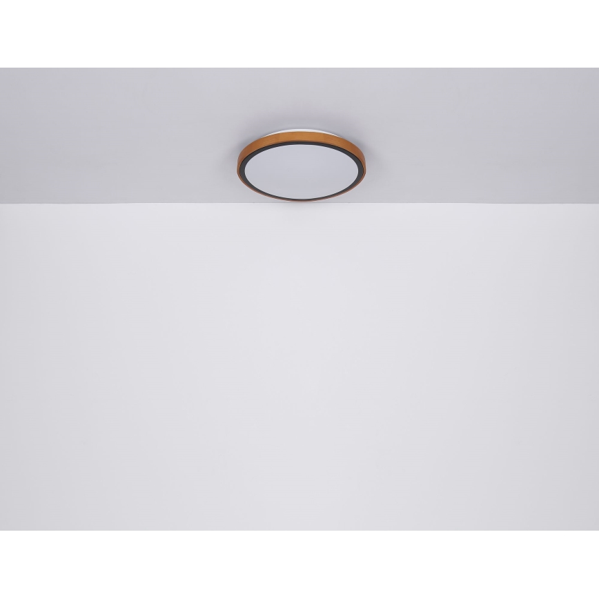 Globo - Стельовий LED світильник LED/24W/230V 3000/4500/6000K діаметр 42 см