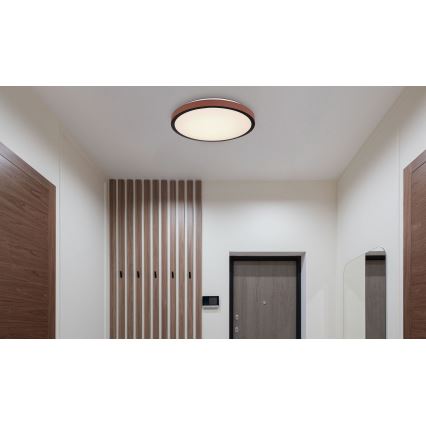 Globo - Светодиодный потолочный светильник LED/24W/230V 3000/4500/6000K диаметр 42 см