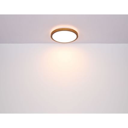 Globo - Светодиодный потолочный светильник LED/24W/230V 3000/4500/6000K диаметр 42 см