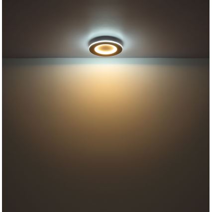 Globo - Светодиодный потолочный светильник LED/23W/230V