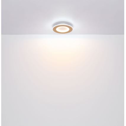 Globo - Светодиодный потолочный светильник LED/23W/230V