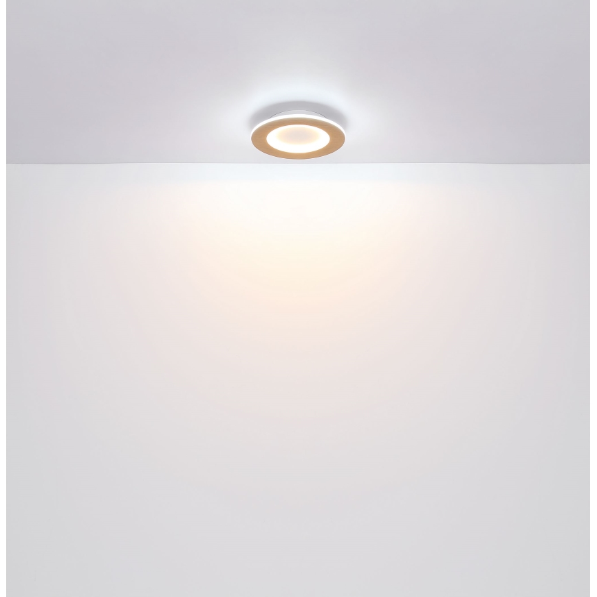 Globo - Светодиодный потолочный светильник LED/23W/230V