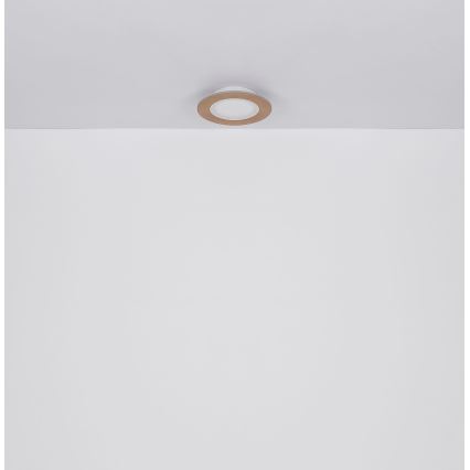 Globo - Светодиодный потолочный светильник LED/23W/230V