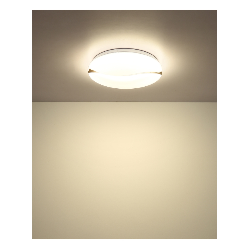 Globo - Светодиодный потолочный светильник LED/24W/230V 3000/4200/6000K диаметр 33 см