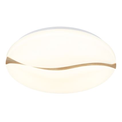 Globo - Светодиодный потолочный светильник LED/24W/230V 3000/4200/6000K диаметр 33 см