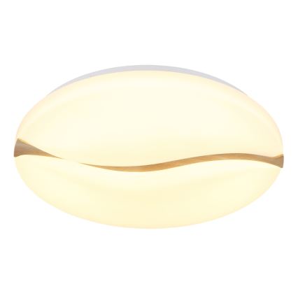 Globo - Светодиодный потолочный светильник LED/24W/230V 3000/4200/6000K диаметр 33 см