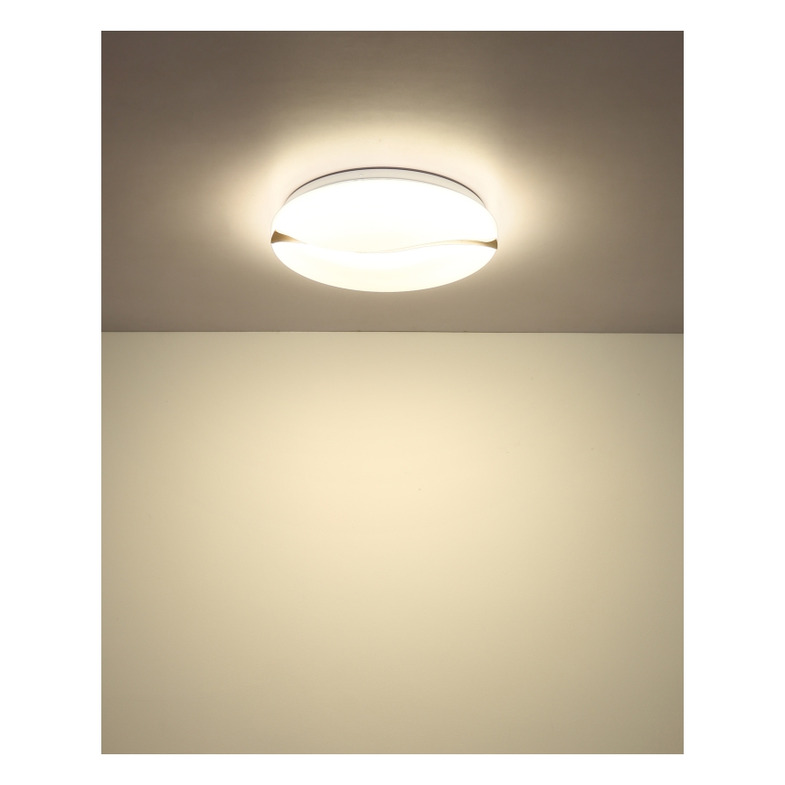 Globo - Светодиодный потолочный светильник LED/24W/230V 3000/4200/6000K диаметр 39 см
