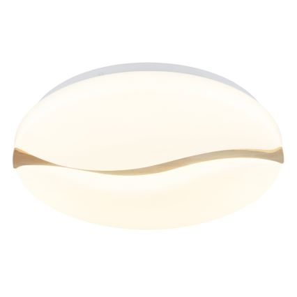 Globo - Светодиодный потолочный светильник LED/24W/230V 3000/4200/6000K диаметр 39 см