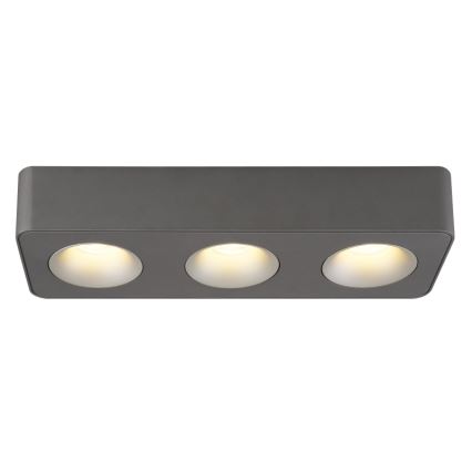 Globo - Стельовий LED світильник LED/14W/230V 11,7x33,2 см