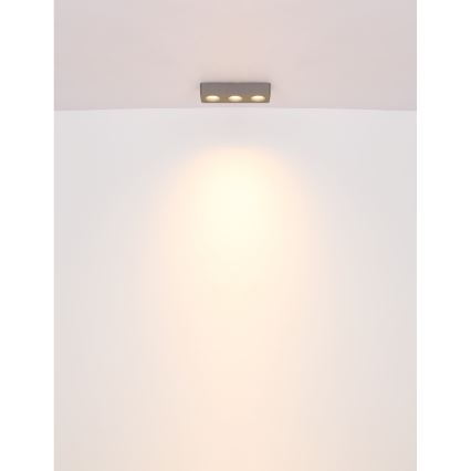 Globo - Стельовий LED світильник LED/14W/230V 11,7x33,2 см
