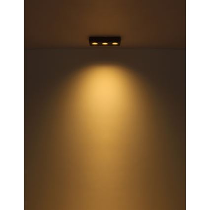 Globo - Стельовий LED світильник LED/14W/230V 11,7x33,2 см