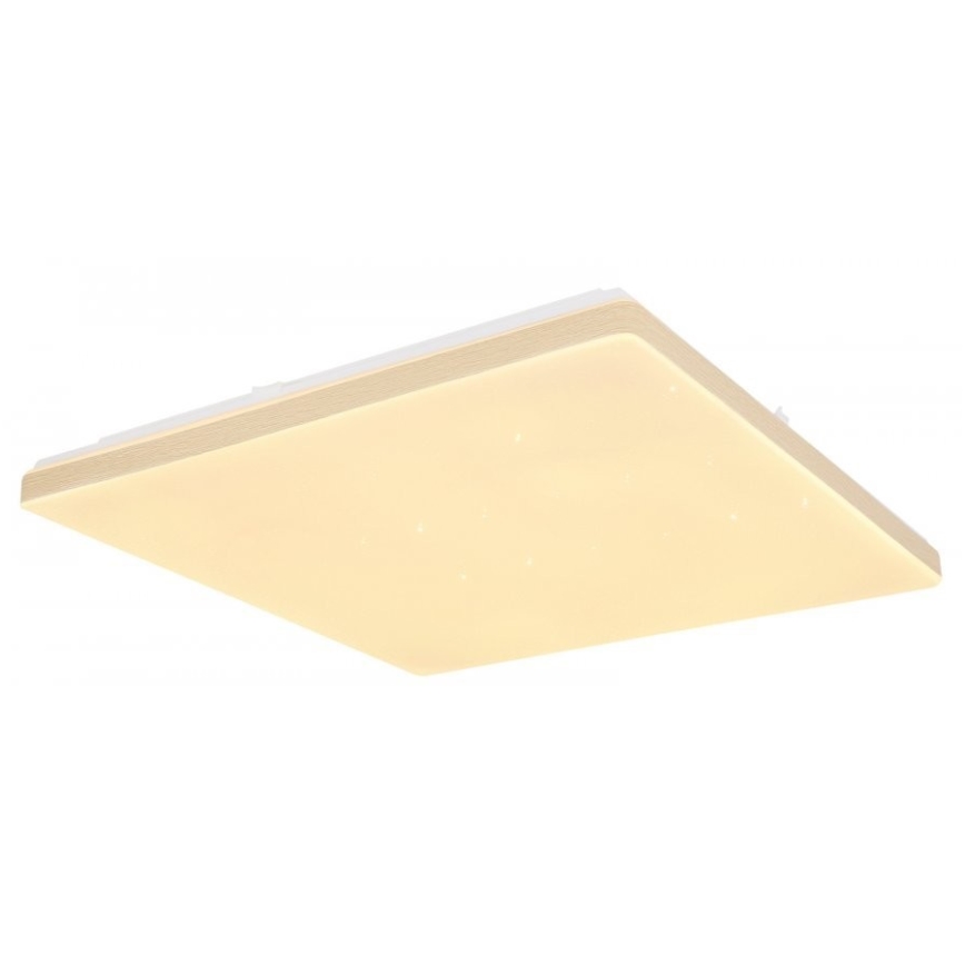 Globo - LED стельовий світильник з можливістю димування LED/24W/230V Wi-Fi Tuya + пульт дистанційного керування
