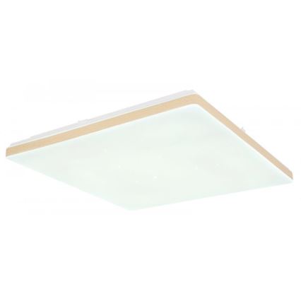 Globo - Стельовий LED світильник з регулюванням яскравості LED/24W/230V Wi-Fi Tuya + ДК